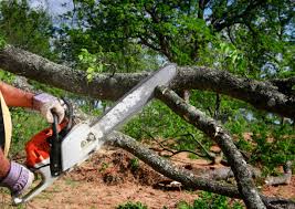 Best Lawn Irrigation Installation and Maintenance  in Los Ranchos, CA